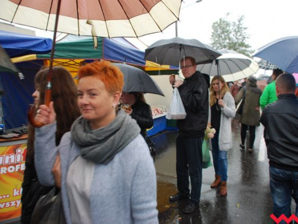 Deszcz nie zdołał przestraszyć wrześnian. Targi Rolnicza Jesień odbyły się z doskonałą frekwencją