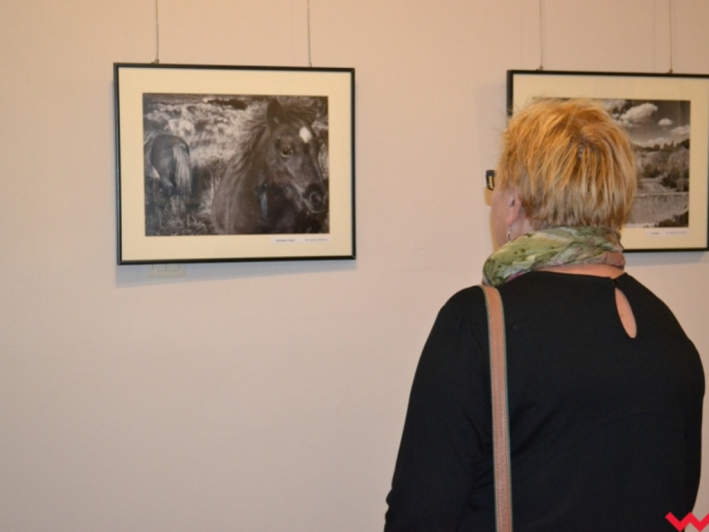 Raport z fotografii złożony. Mundurowi po raz kolejny pokazali artystyczną pasję