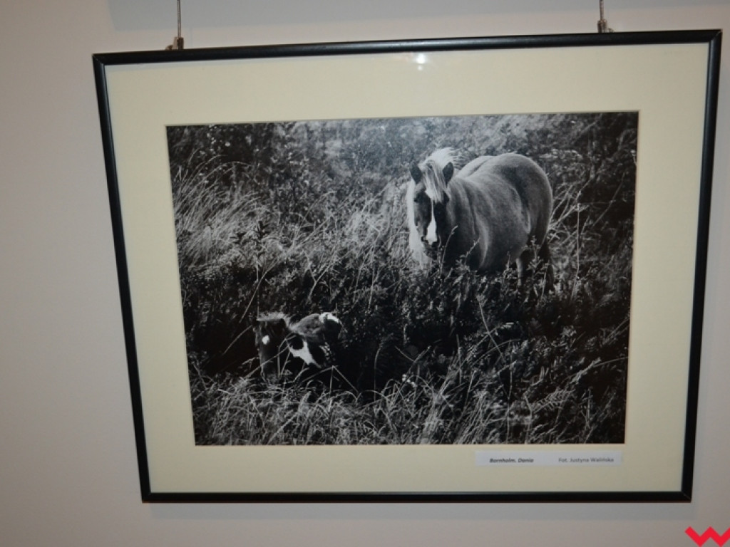 Raport z fotografii złożony. Mundurowi po raz kolejny pokazali artystyczną pasję