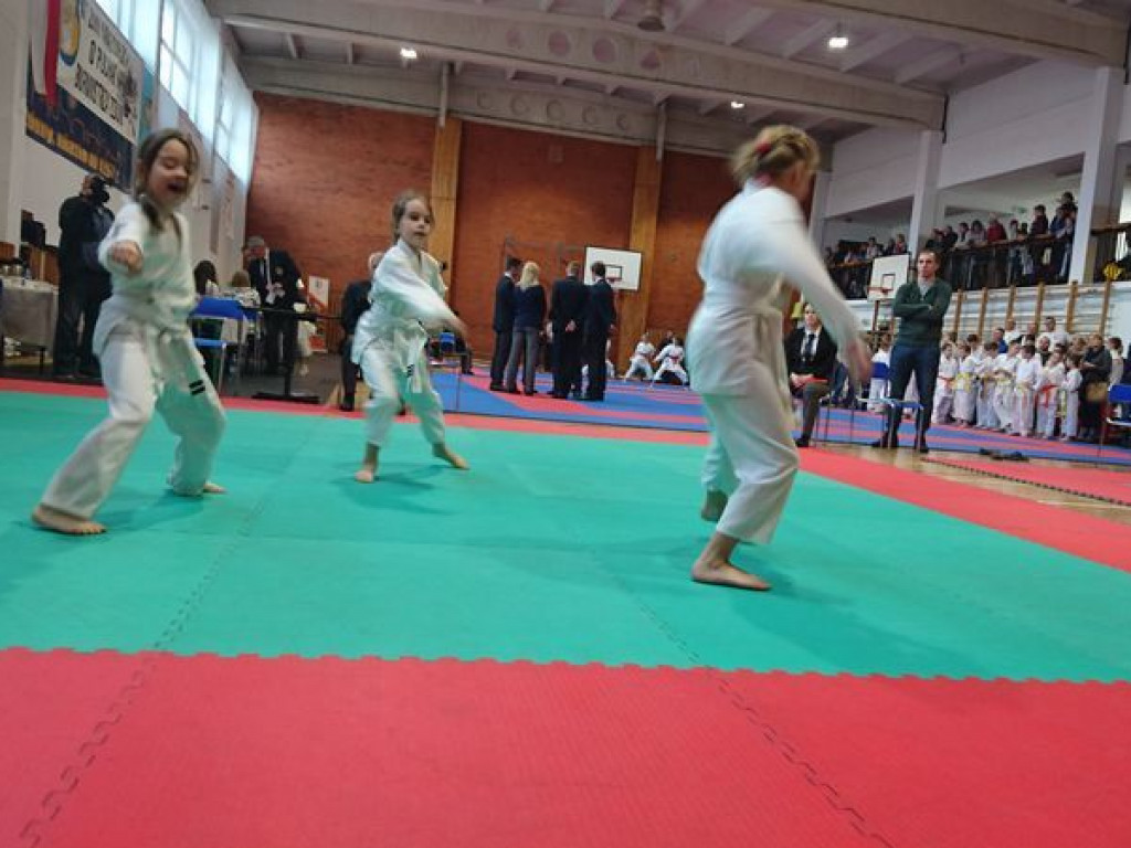 Kolejny dobry turniejowy występ zawodników Wrzesińskiego Klubu Karate (galeria)