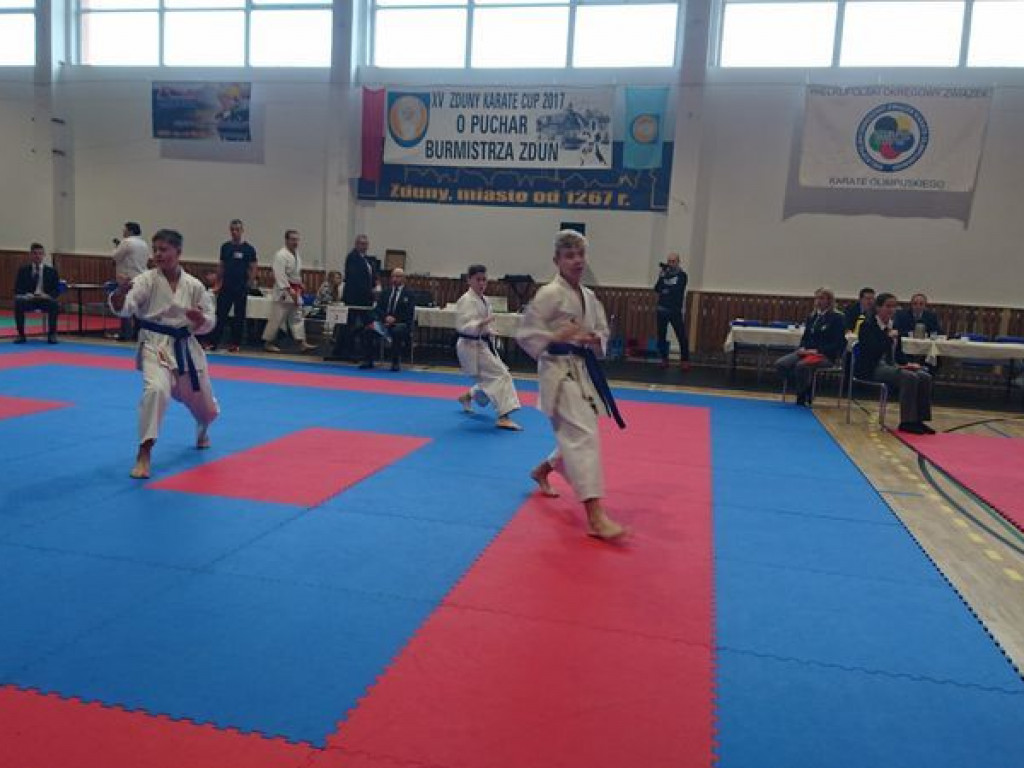 Kolejny dobry turniejowy występ zawodników Wrzesińskiego Klubu Karate (galeria)