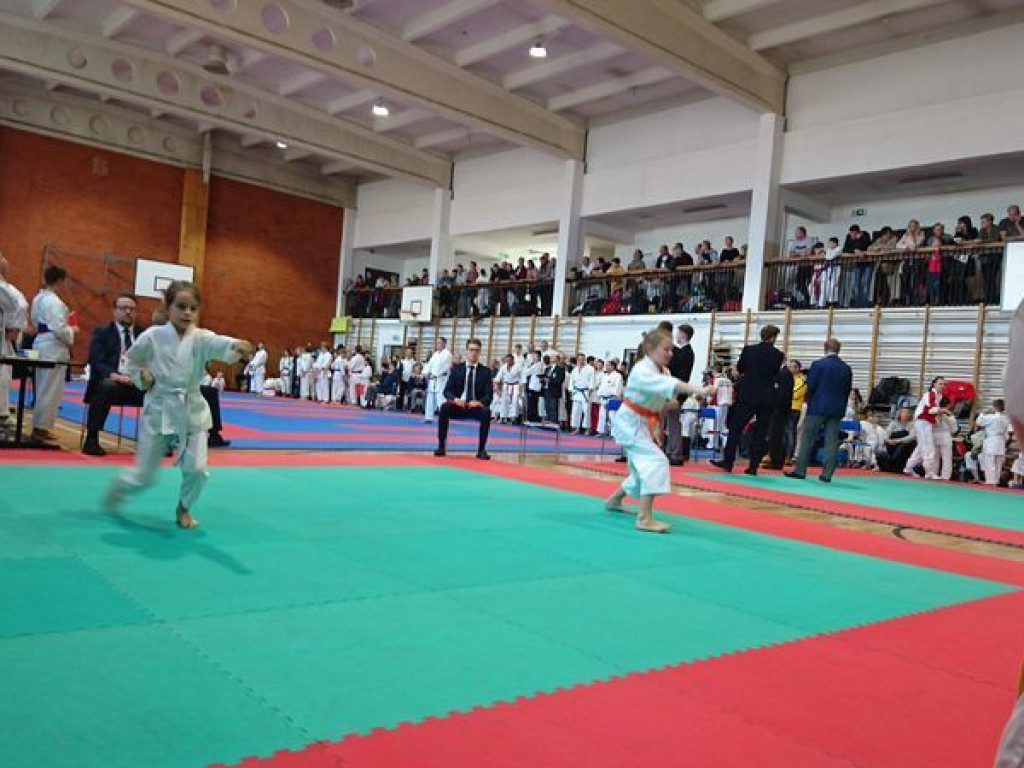 Kolejny dobry turniejowy występ zawodników Wrzesińskiego Klubu Karate (galeria)