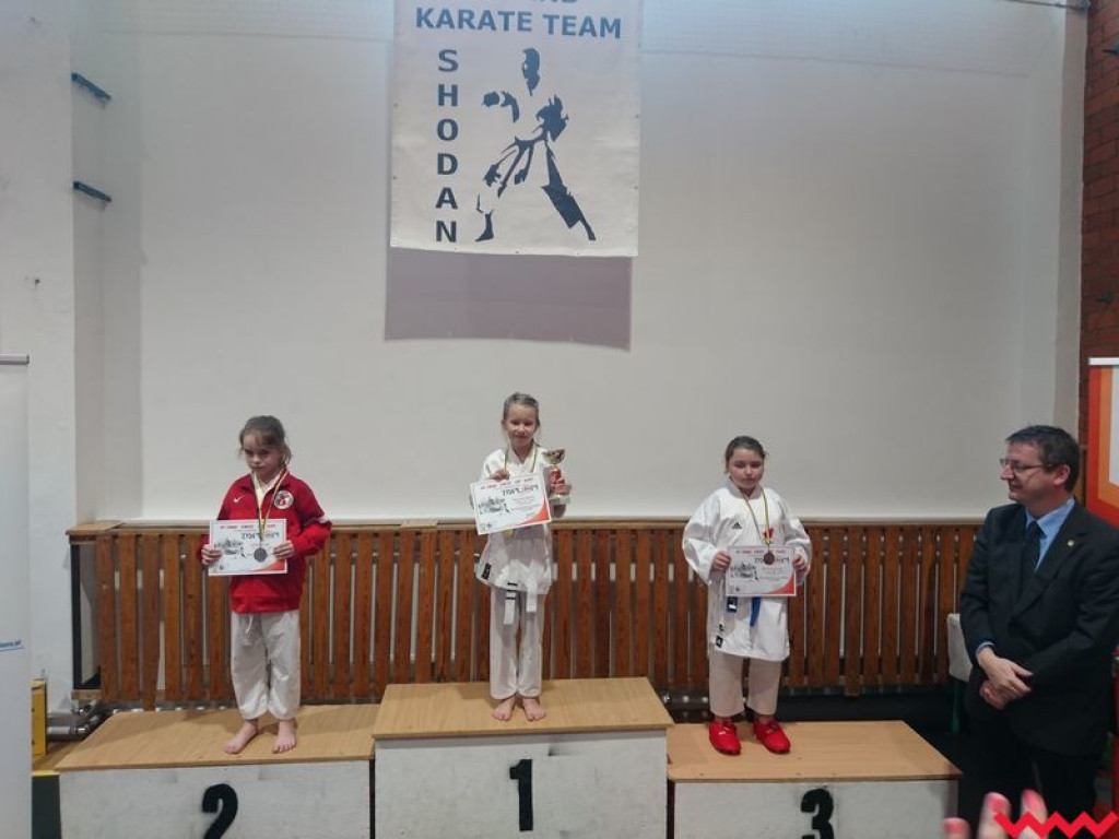 Kolejny dobry turniejowy występ zawodników Wrzesińskiego Klubu Karate (galeria)