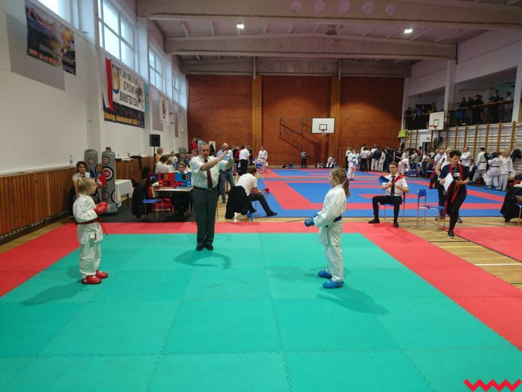 Kolejny dobry turniejowy występ zawodników Wrzesińskiego Klubu Karate (galeria)