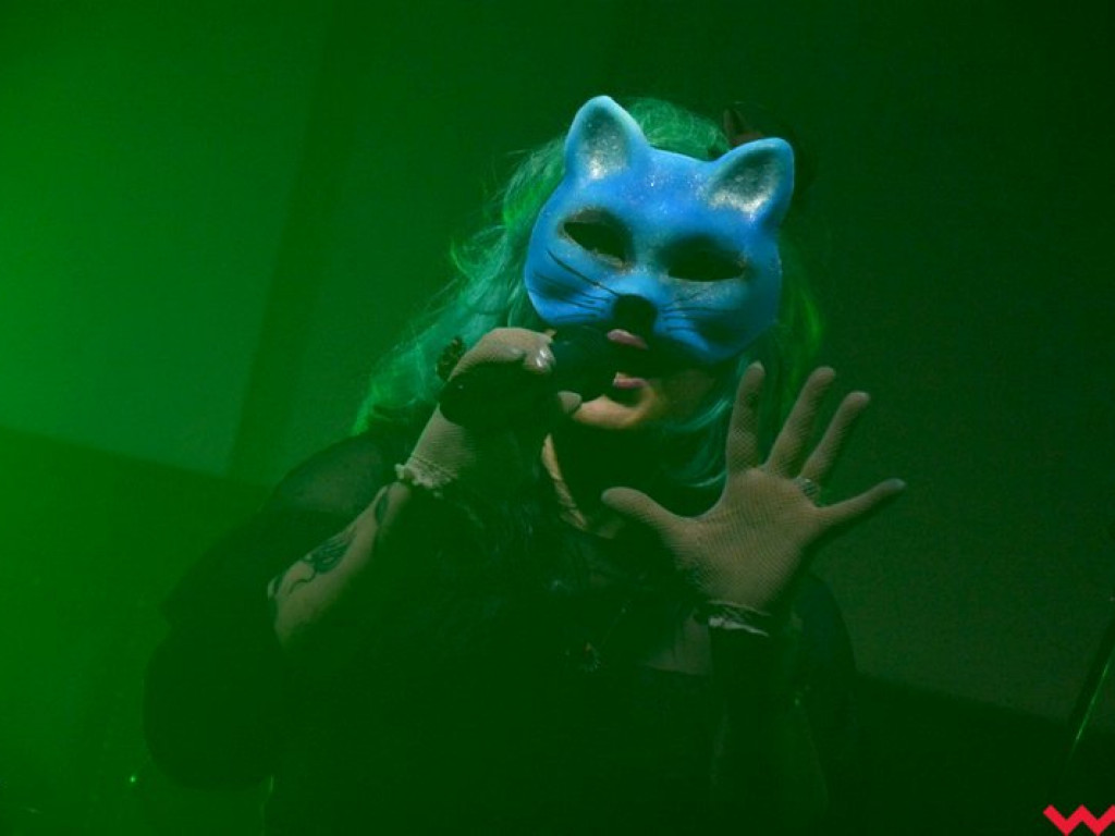 Licealna aula zadrżała w posadach na koncercie Closterkellera