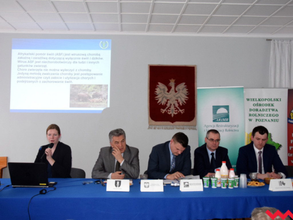 Po spotkaniu rolników w Kołaczkowie. Producenci trzody boją się ASF i ogromnych strat