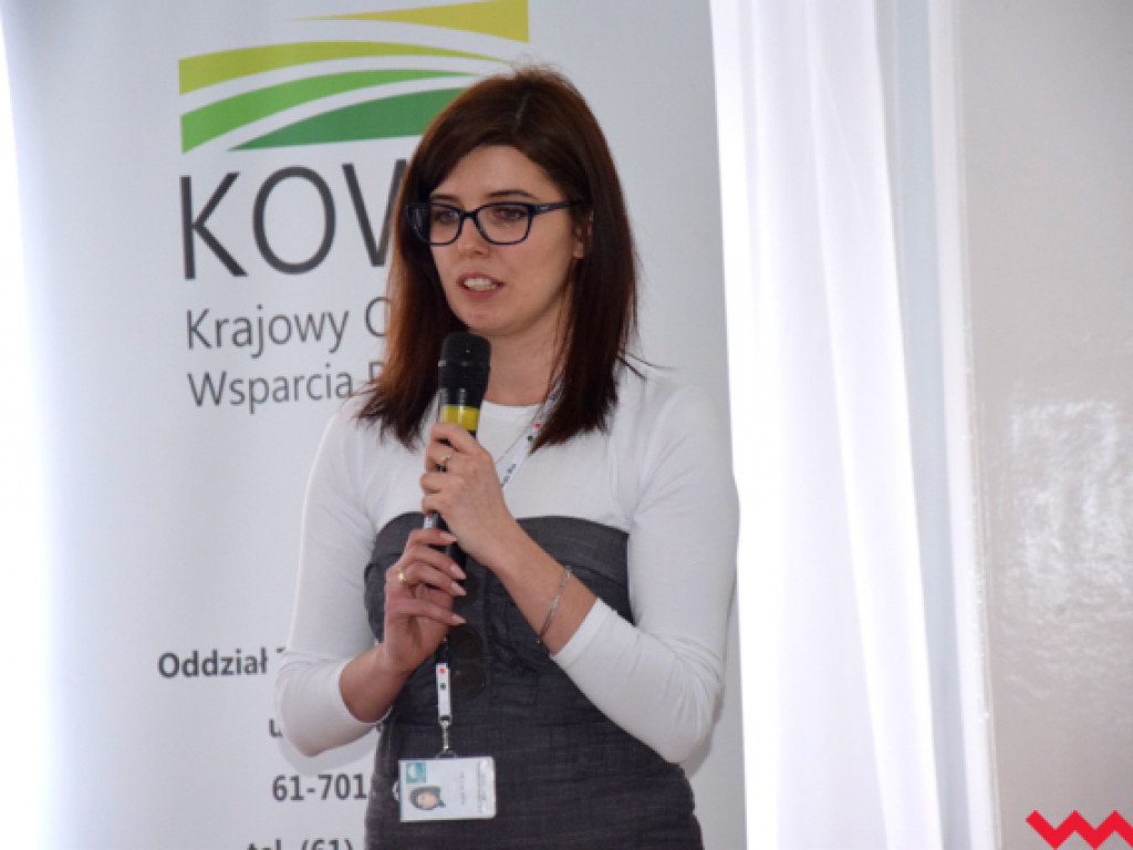 Po spotkaniu rolników w Kołaczkowie. Producenci trzody boją się ASF i ogromnych strat