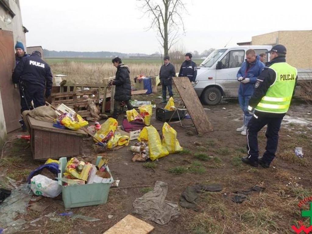 Koszmar zwierząt w „hotelu dla psów” w Zapowiedni (gmina Pyzdry)