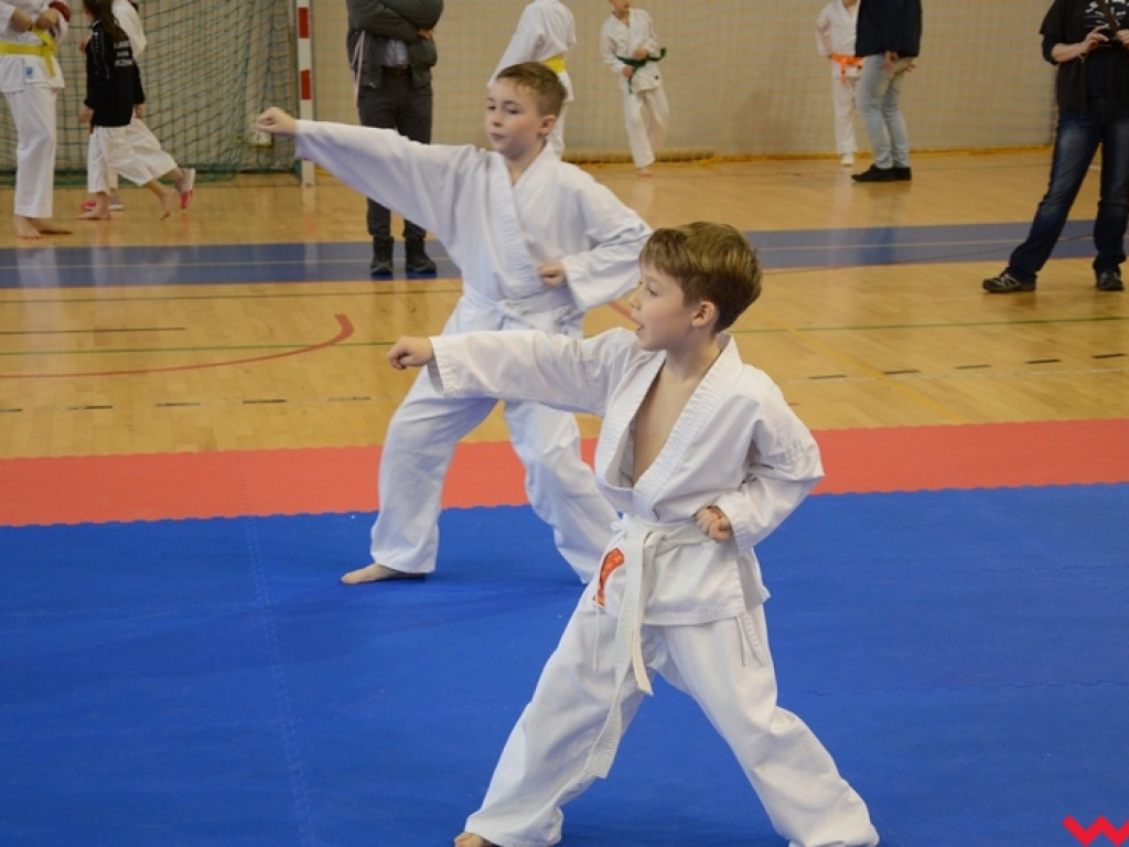 Tatami pełne najmłodszych sportowców. Liga organizacyjnym sukcesem