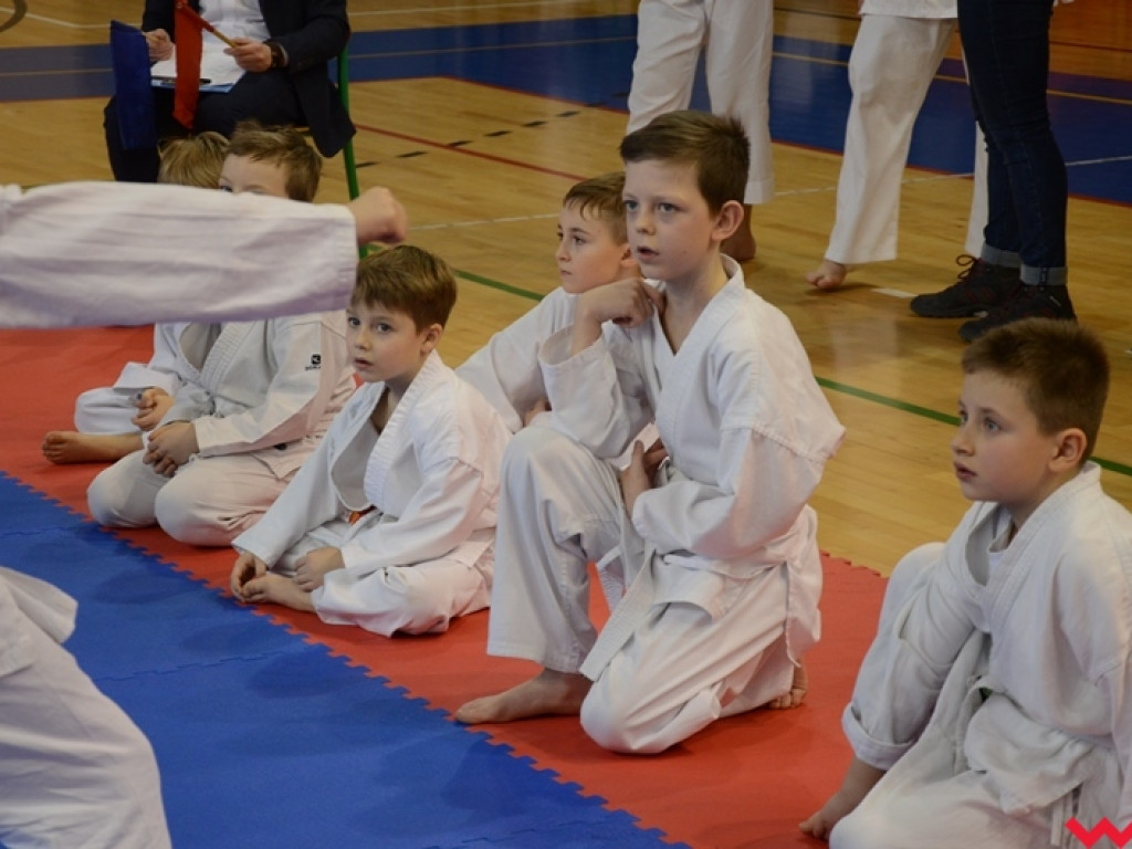 Tatami pełne najmłodszych sportowców. Liga organizacyjnym sukcesem