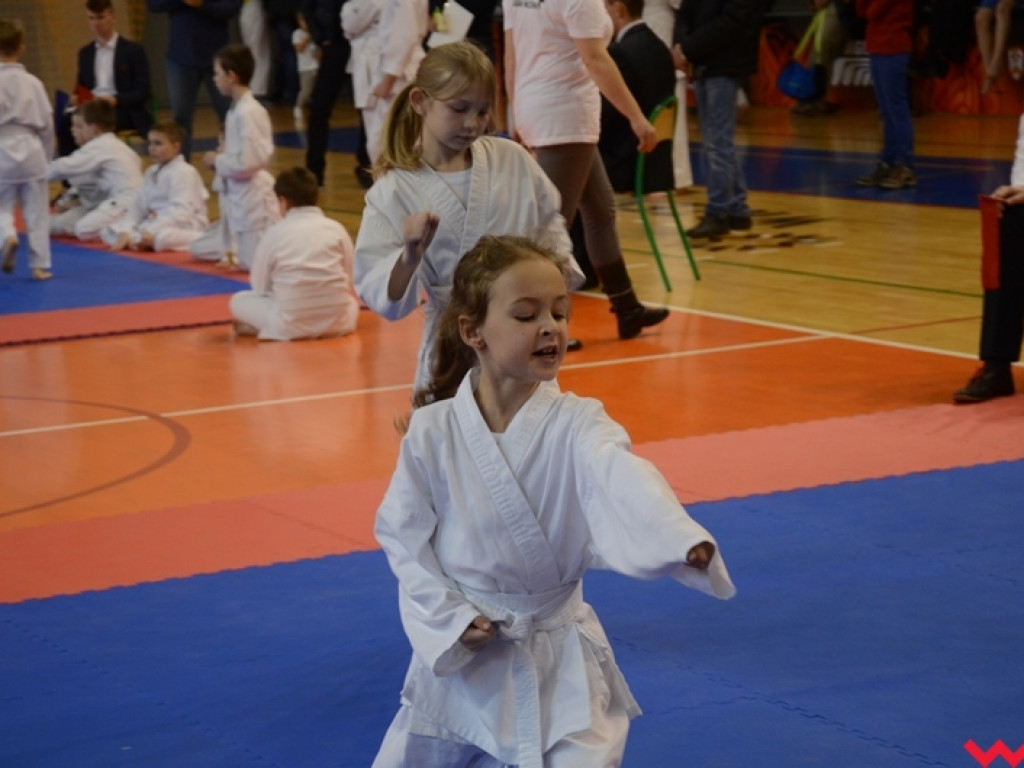 Tatami pełne najmłodszych sportowców. Liga organizacyjnym sukcesem