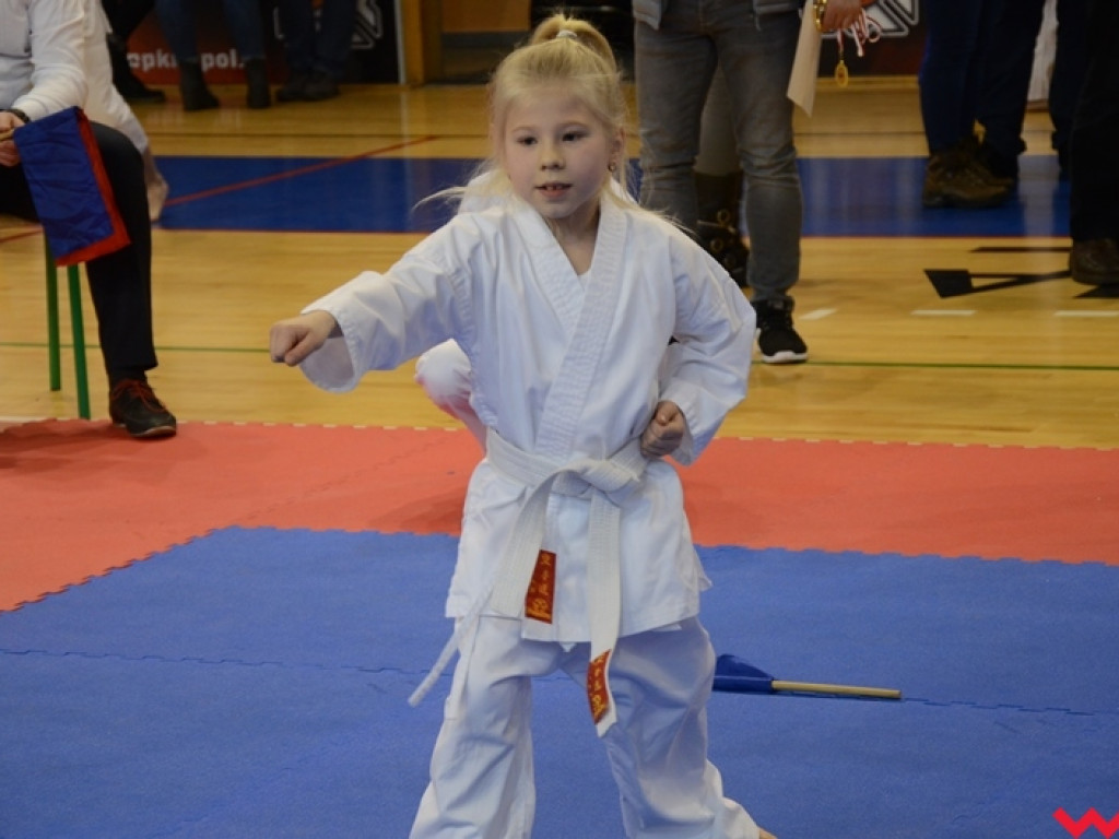 Tatami pełne najmłodszych sportowców. Liga organizacyjnym sukcesem