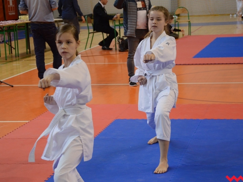 Tatami pełne najmłodszych sportowców. Liga organizacyjnym sukcesem