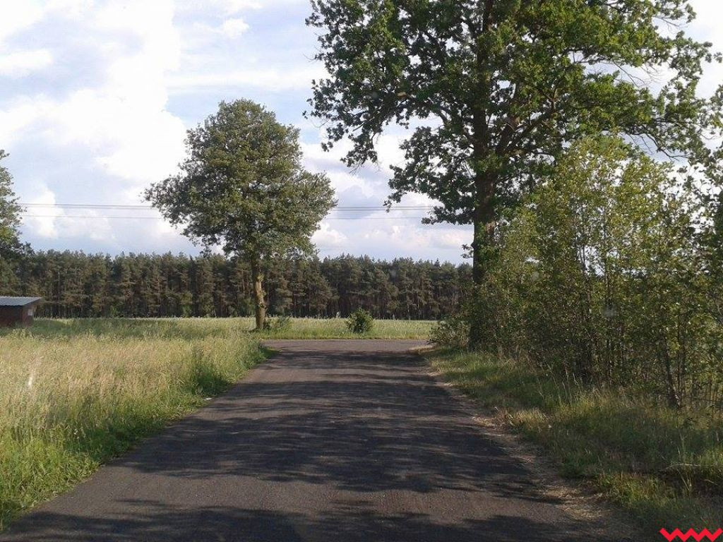 Powstaną nowe drogi na odcinku Zamość - Dolne Grądy oraz w Zapowiedni