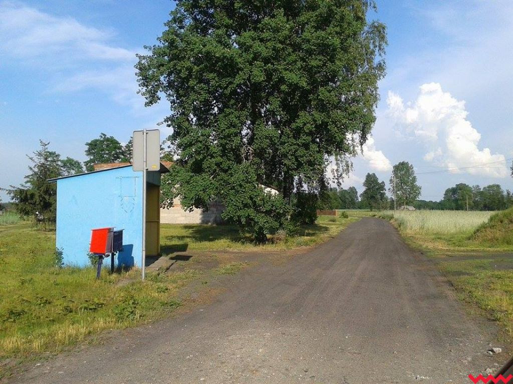 Powstaną nowe drogi na odcinku Zamość - Dolne Grądy oraz w Zapowiedni