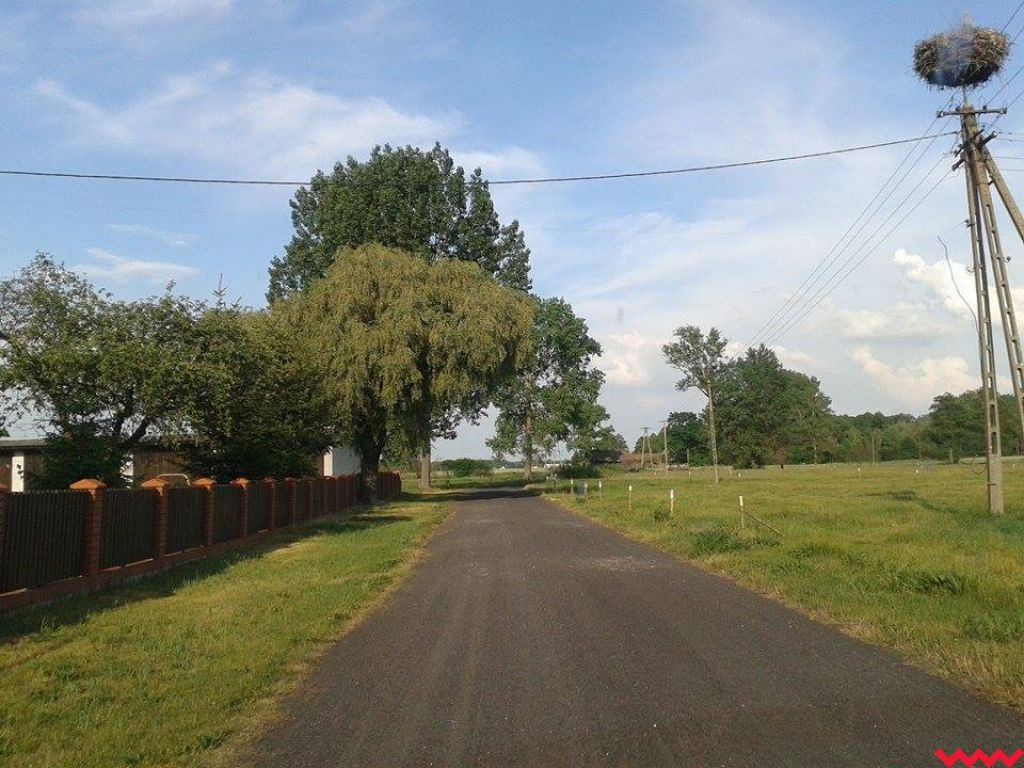 Powstaną nowe drogi na odcinku Zamość - Dolne Grądy oraz w Zapowiedni
