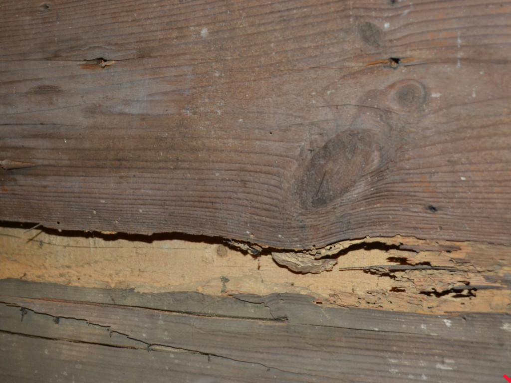 Trwa renowacja wnętrza drewnianego kościoła pw. św. Krzyża na Lipówce