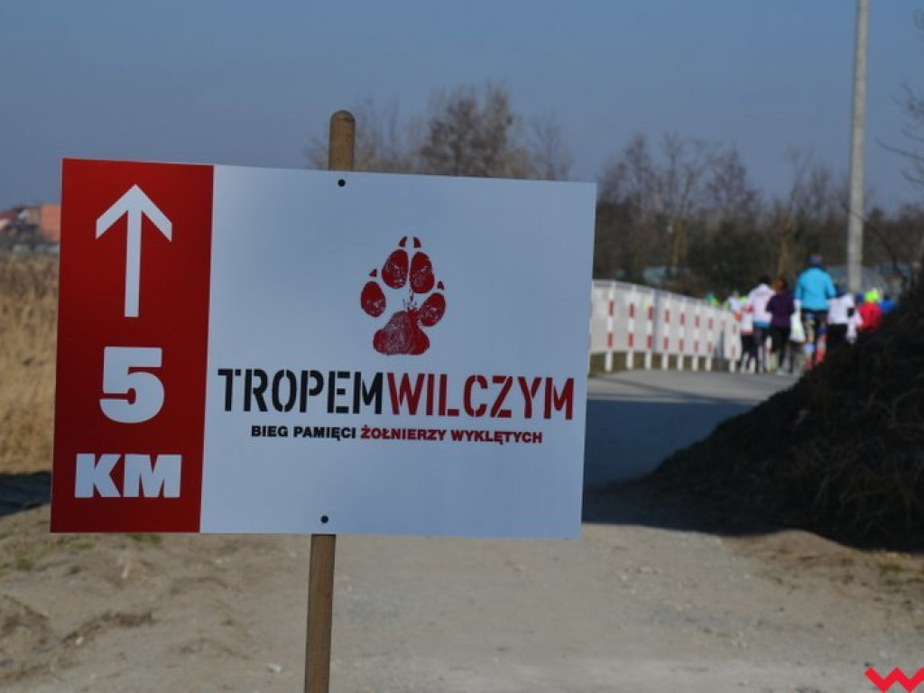 Września ruszyła Tropem Wilczym. Rodzinny bieg z patriotycznym podtekstem