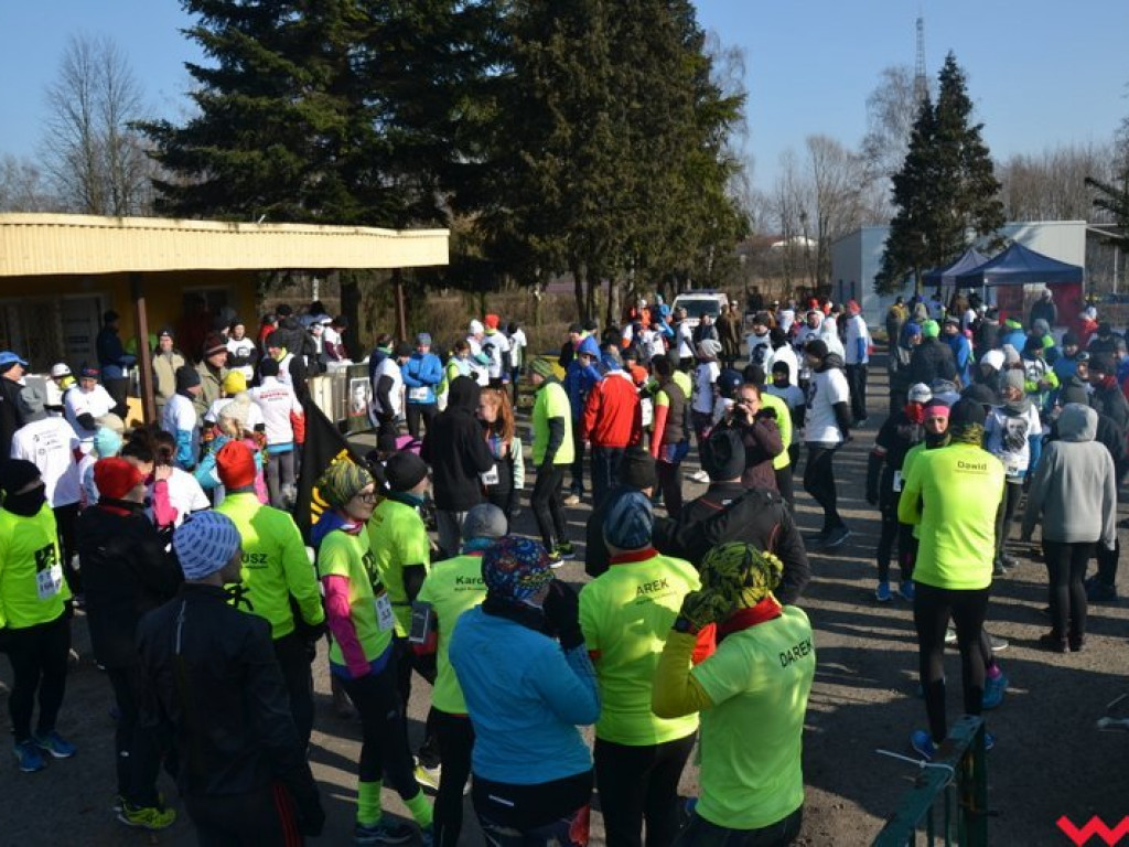 Września ruszyła Tropem Wilczym. Rodzinny bieg z patriotycznym podtekstem
