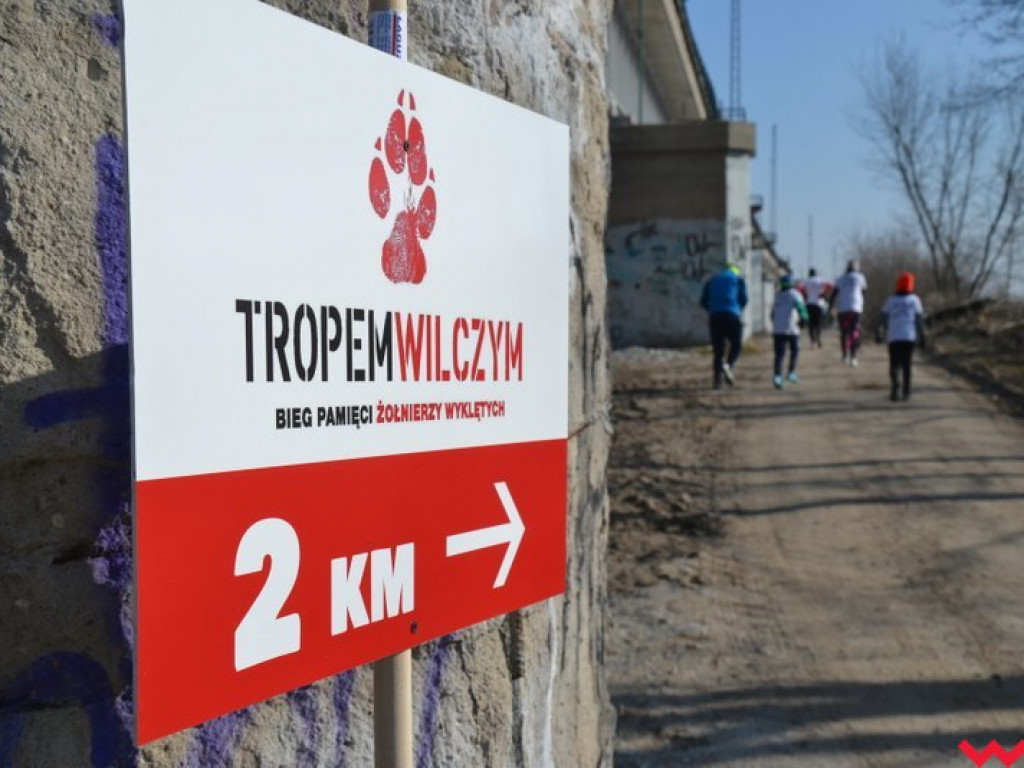Września ruszyła Tropem Wilczym. Rodzinny bieg z patriotycznym podtekstem