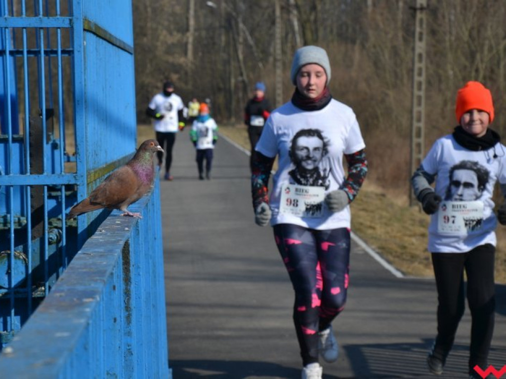 Września ruszyła Tropem Wilczym. Rodzinny bieg z patriotycznym podtekstem