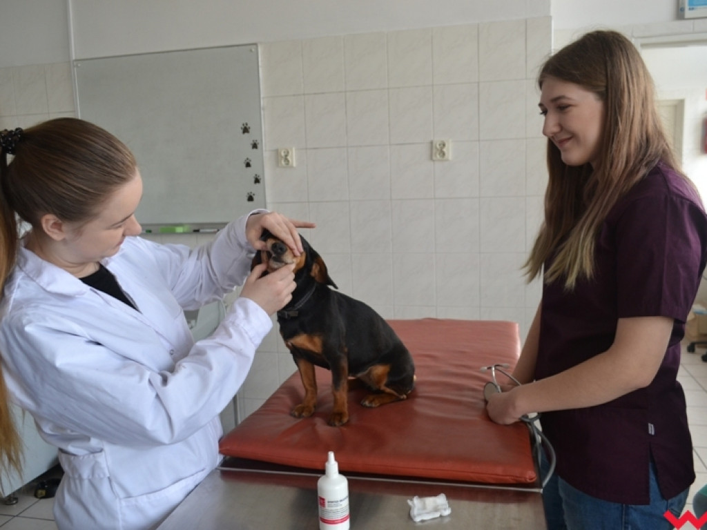 Zespół Szkół Technicznych i Ogólnokształcących zaprosił gimnazjalistów