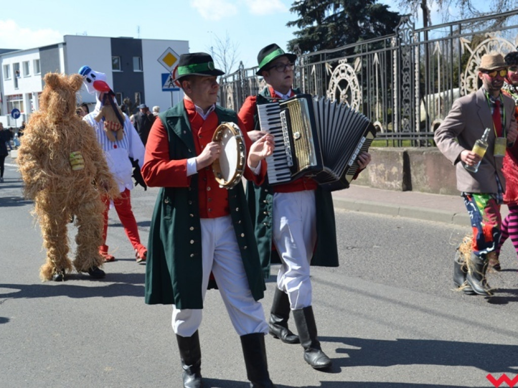 Śmigus-dyngus z niedźwiedziem. Przebierańcy opanowali ulice Czerniejewa