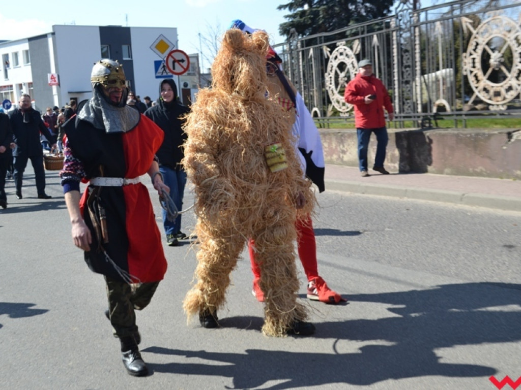 Śmigus-dyngus z niedźwiedziem. Przebierańcy opanowali ulice Czerniejewa