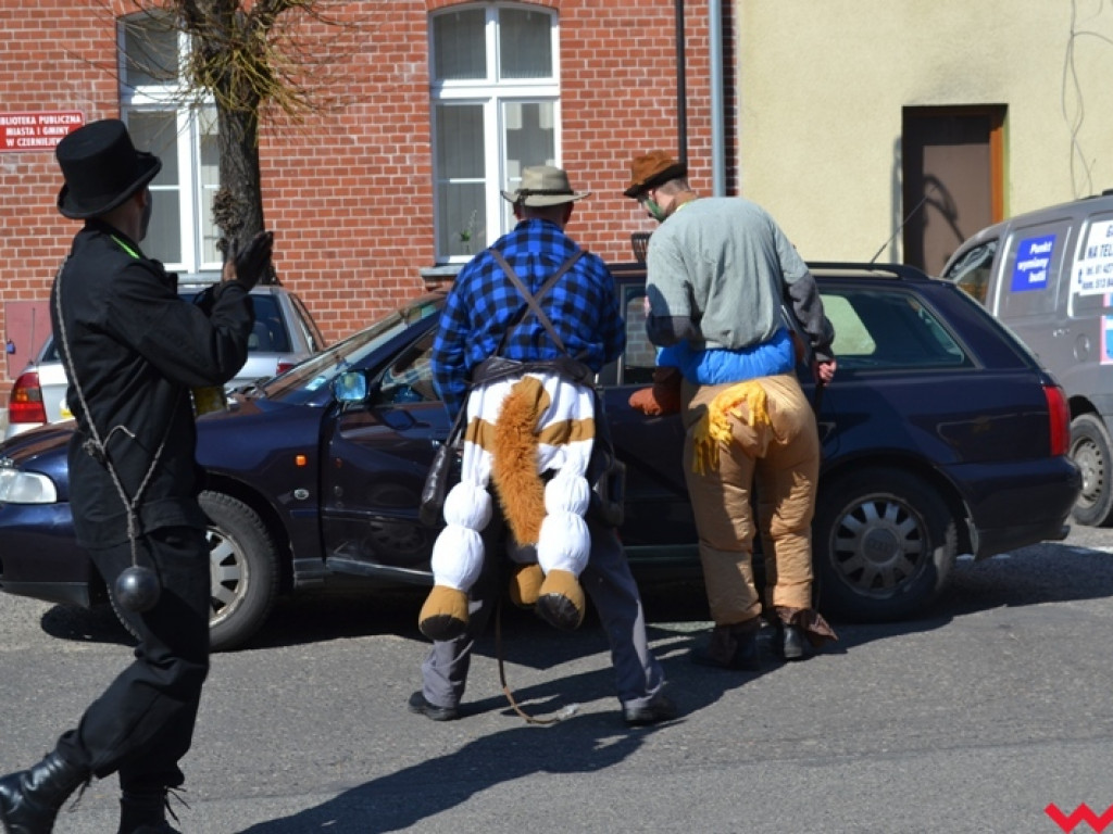 Śmigus-dyngus z niedźwiedziem. Przebierańcy opanowali ulice Czerniejewa