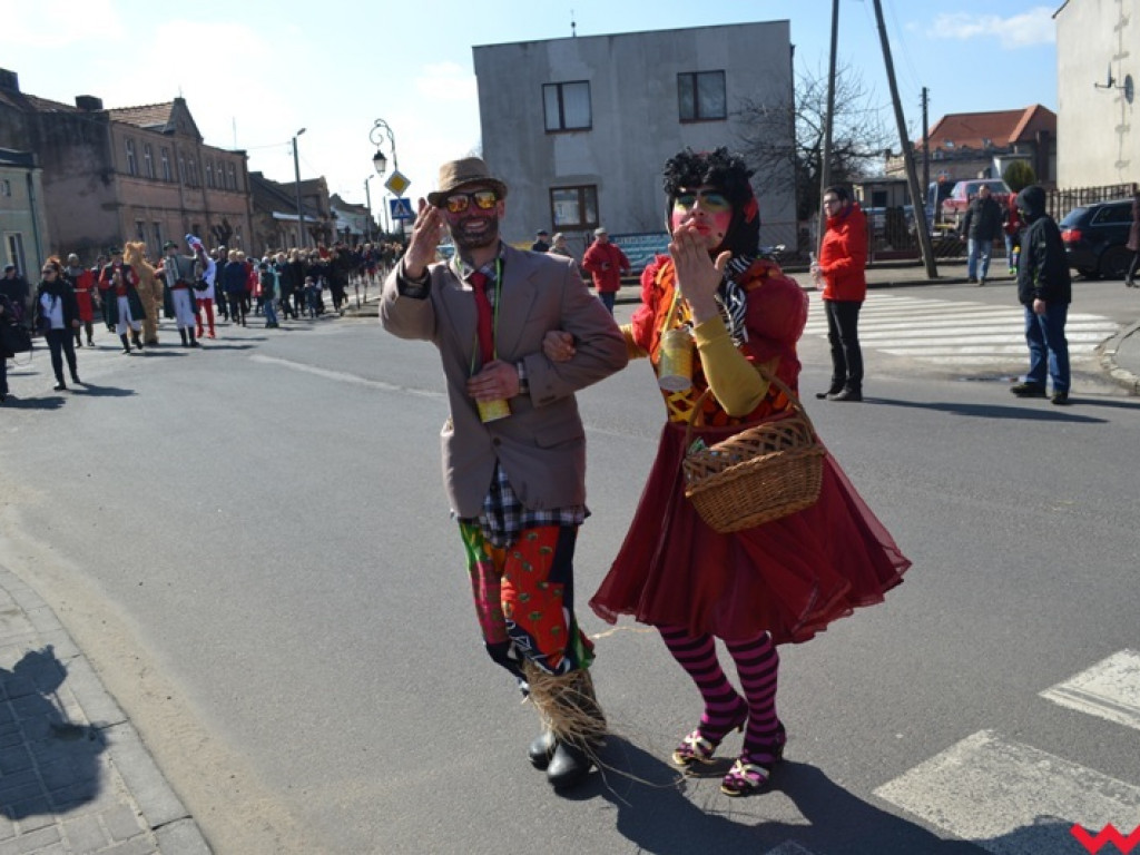 Śmigus-dyngus z niedźwiedziem. Przebierańcy opanowali ulice Czerniejewa
