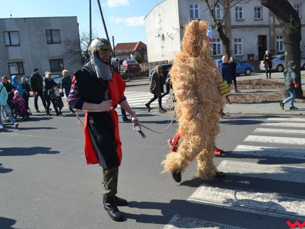 Śmigus-dyngus z niedźwiedziem. Przebierańcy opanowali ulice Czerniejewa