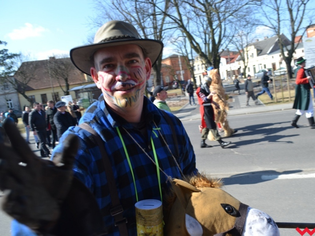 Śmigus-dyngus z niedźwiedziem. Przebierańcy opanowali ulice Czerniejewa