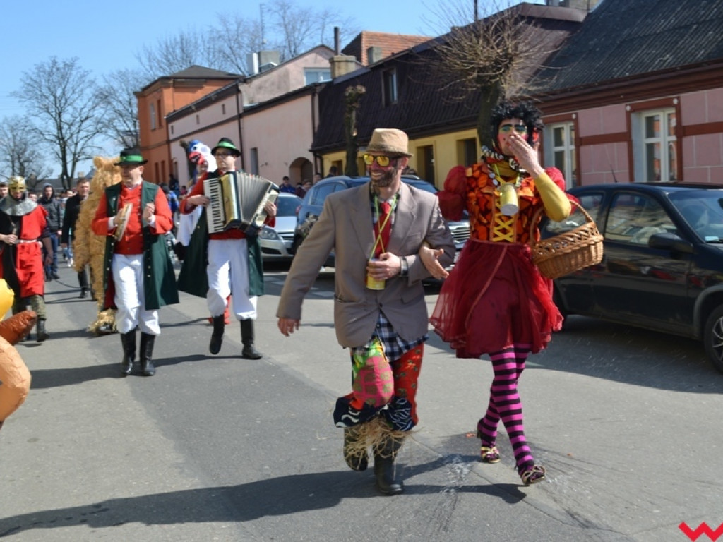 Śmigus-dyngus z niedźwiedziem. Przebierańcy opanowali ulice Czerniejewa