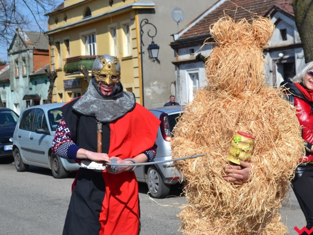 Śmigus-dyngus z niedźwiedziem. Przebierańcy opanowali ulice Czerniejewa
