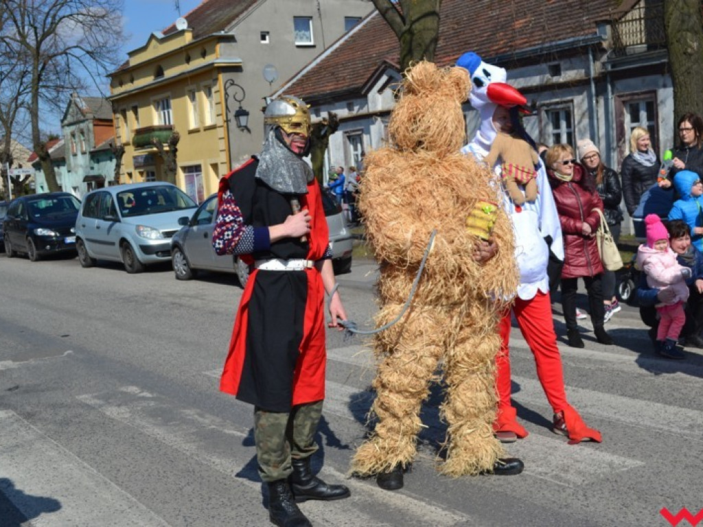 Śmigus-dyngus z niedźwiedziem. Przebierańcy opanowali ulice Czerniejewa