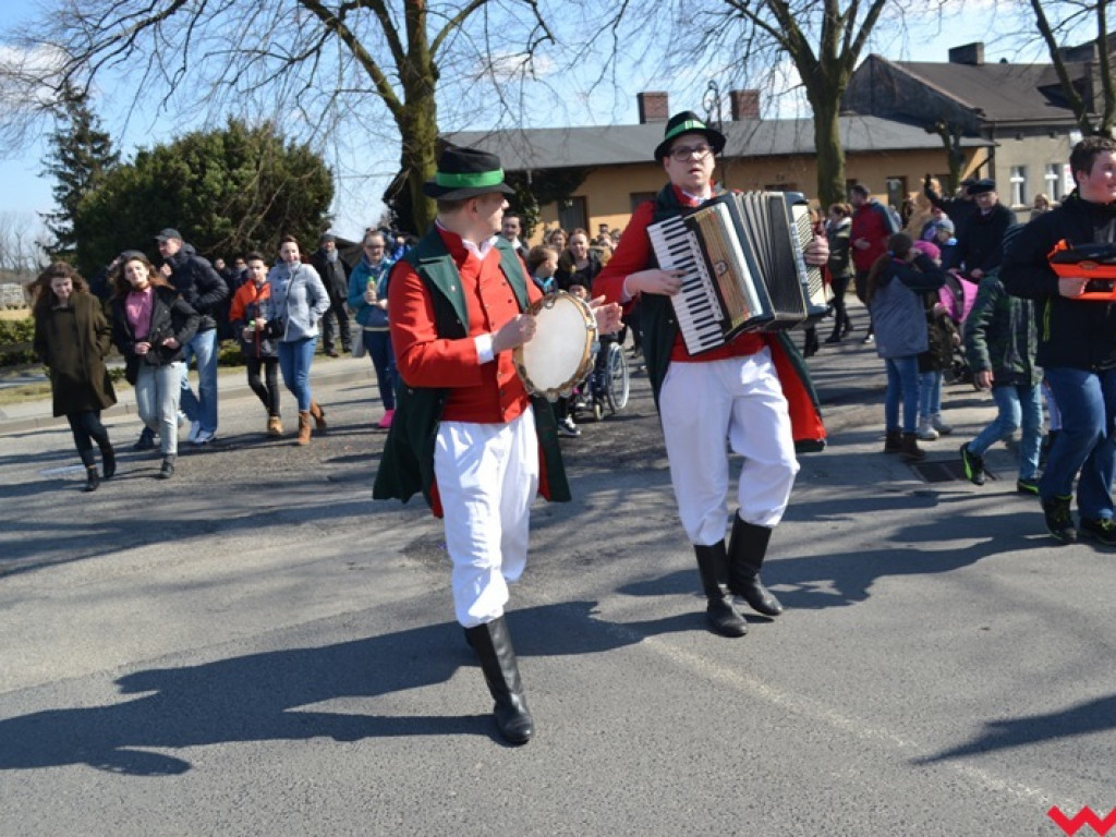 Śmigus-dyngus z niedźwiedziem. Przebierańcy opanowali ulice Czerniejewa