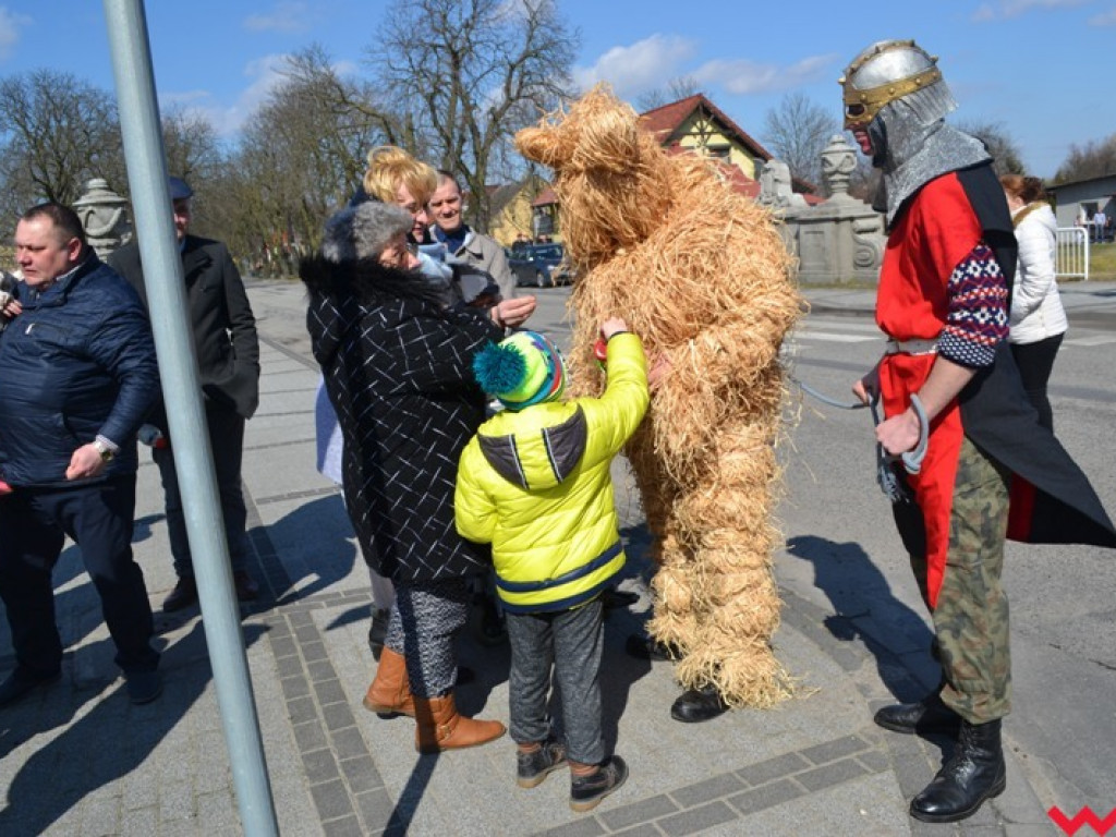 Śmigus-dyngus z niedźwiedziem. Przebierańcy opanowali ulice Czerniejewa