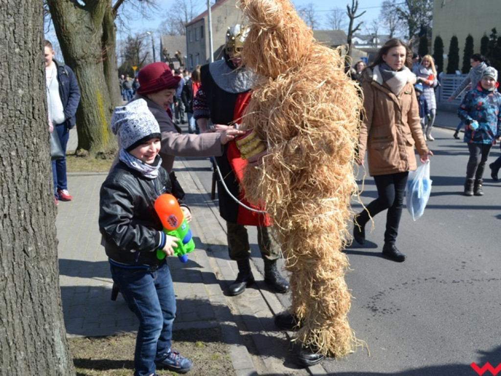 Śmigus-dyngus z niedźwiedziem. Przebierańcy opanowali ulice Czerniejewa