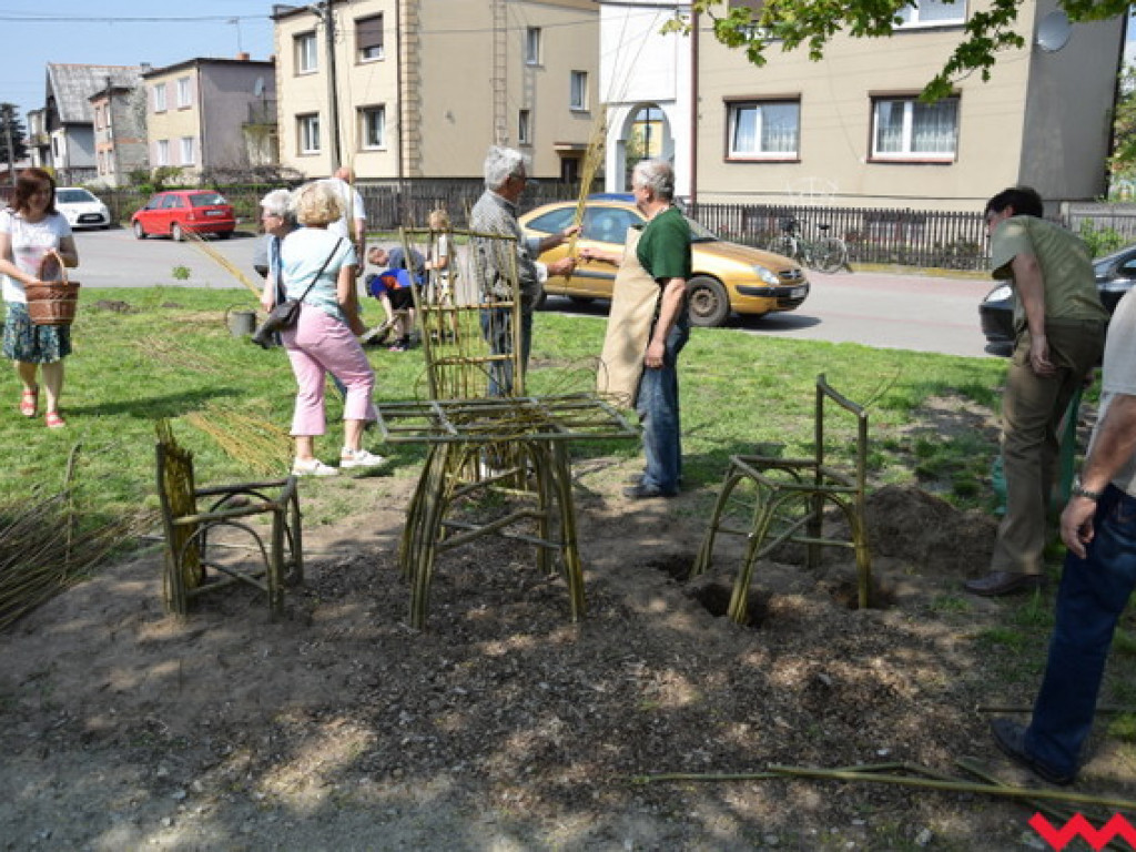 Mieszkańcy posadzili ponad setkę nowych drzewek na ulicach Orzechowa