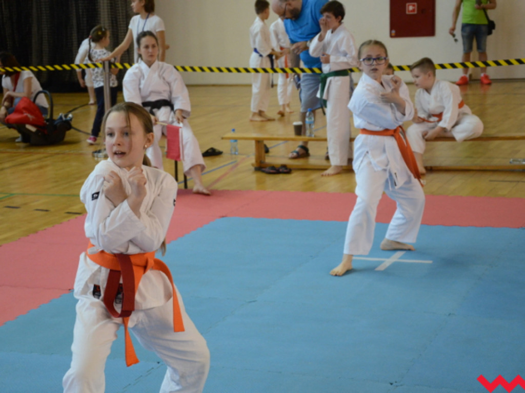 Tatami pełne karateków. Wrześnianie rozbili bank z medalami