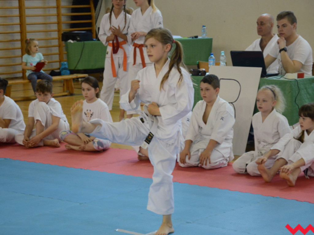 Tatami pełne karateków. Wrześnianie rozbili bank z medalami