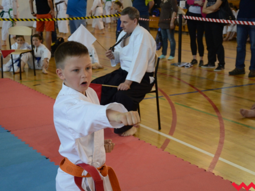 Tatami pełne karateków. Wrześnianie rozbili bank z medalami