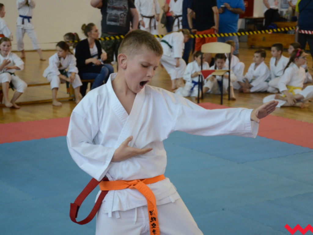 Tatami pełne karateków. Wrześnianie rozbili bank z medalami