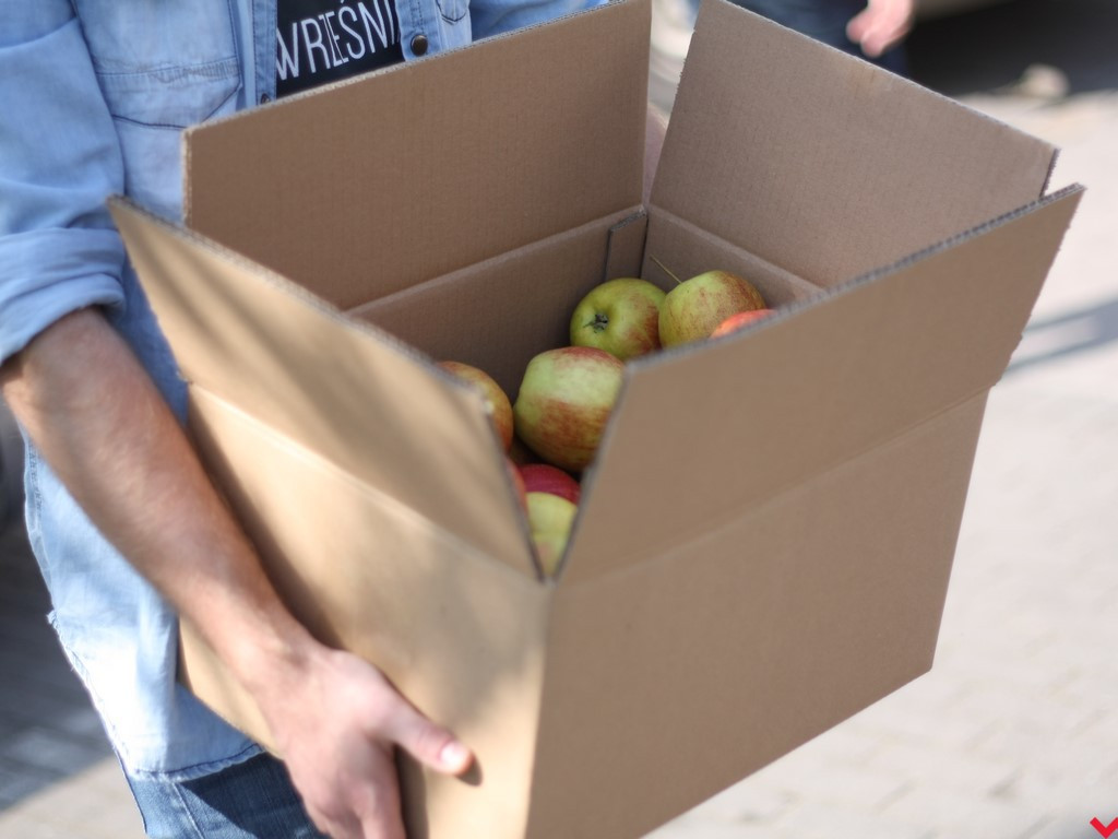 Wrześnianie chwycili za szpadle i wspólnie posadzili niemal sto drzew