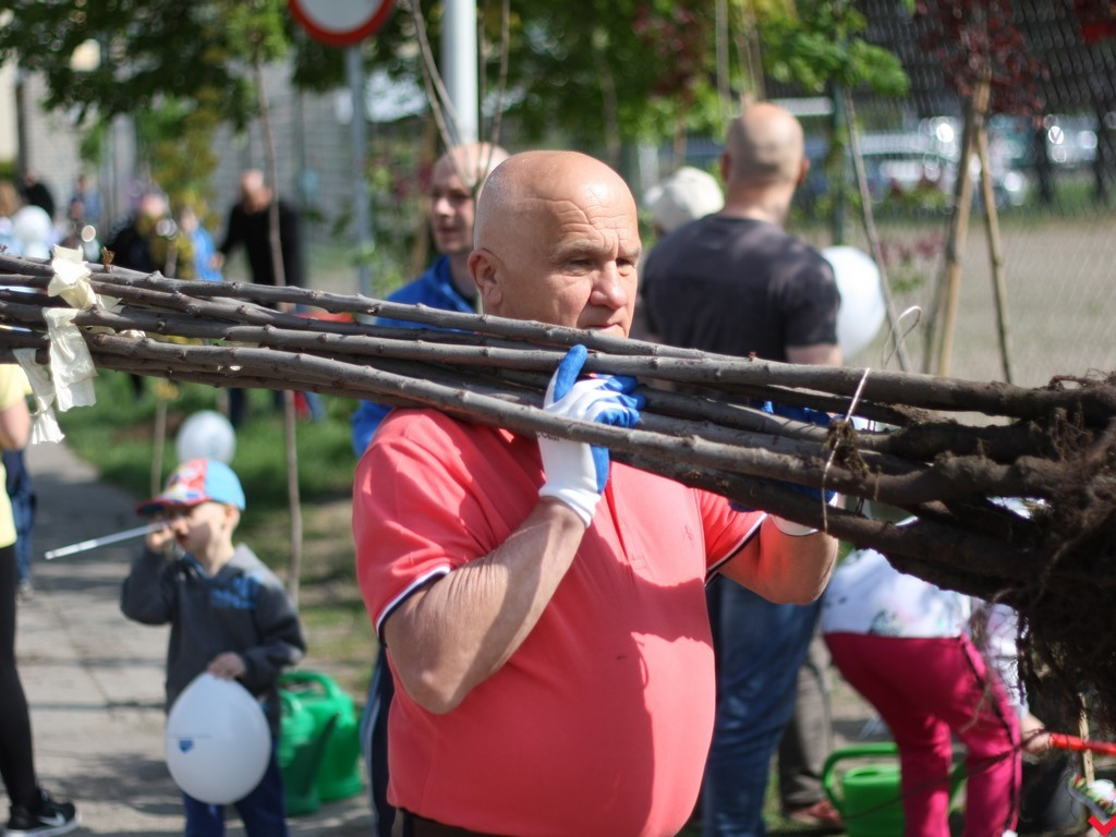 Wrześnianie chwycili za szpadle i wspólnie posadzili niemal sto drzew