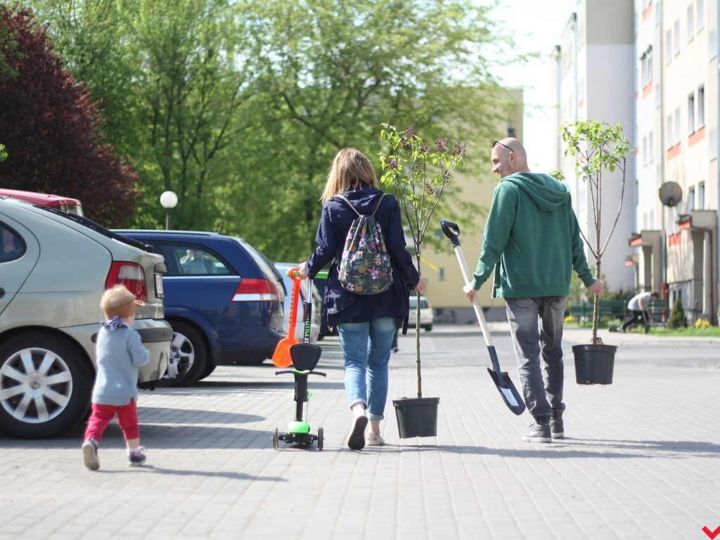 Wrześnianie chwycili za szpadle i wspólnie posadzili niemal sto drzew