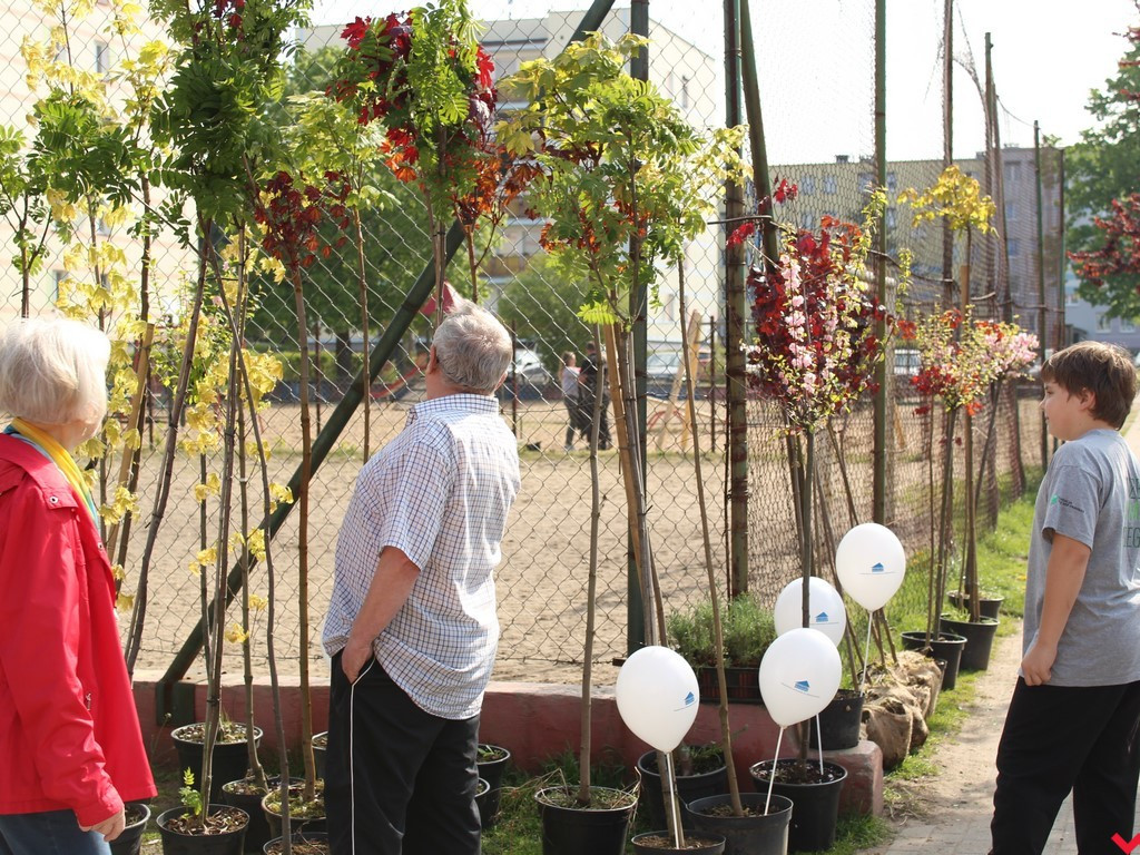 Wrześnianie chwycili za szpadle i wspólnie posadzili niemal sto drzew