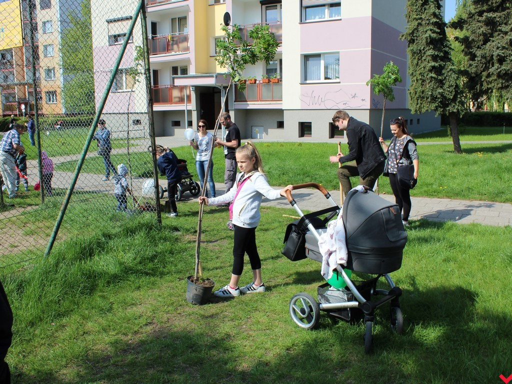 Wrześnianie chwycili za szpadle i wspólnie posadzili niemal sto drzew