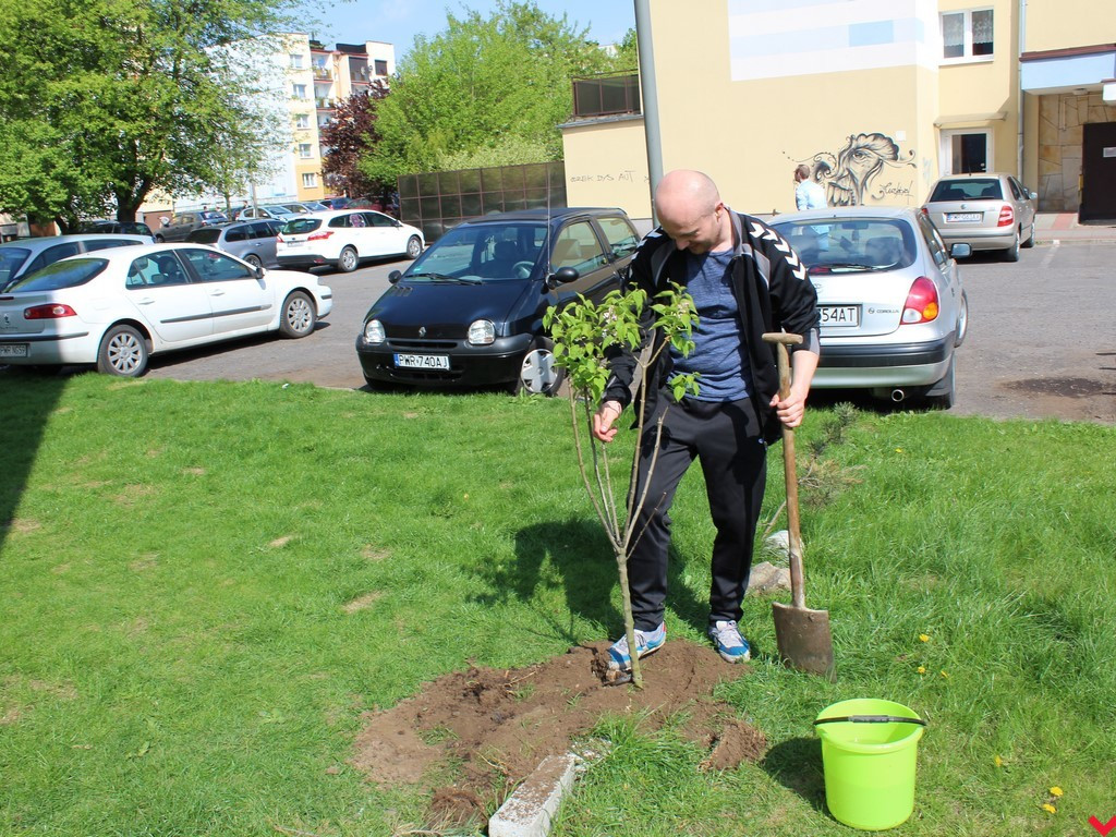 Wrześnianie chwycili za szpadle i wspólnie posadzili niemal sto drzew