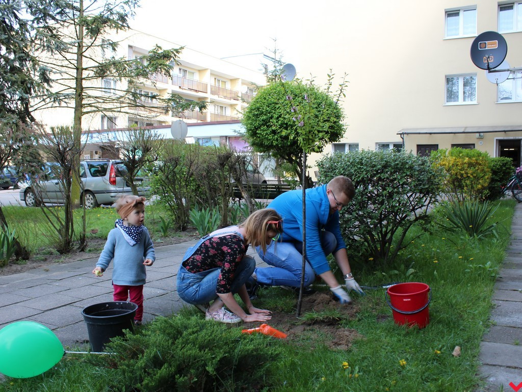 Wrześnianie chwycili za szpadle i wspólnie posadzili niemal sto drzew
